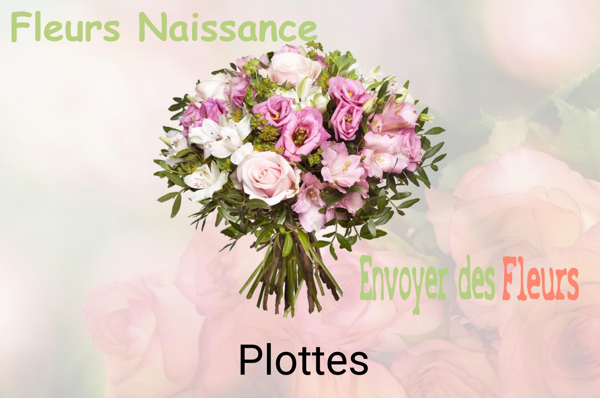 Bouquet de fleurs de naissance livré à Plottes