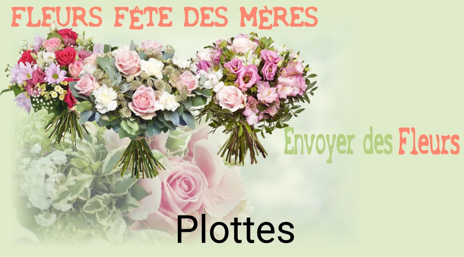 Bouquet de Fête des Mères livré à Plottes